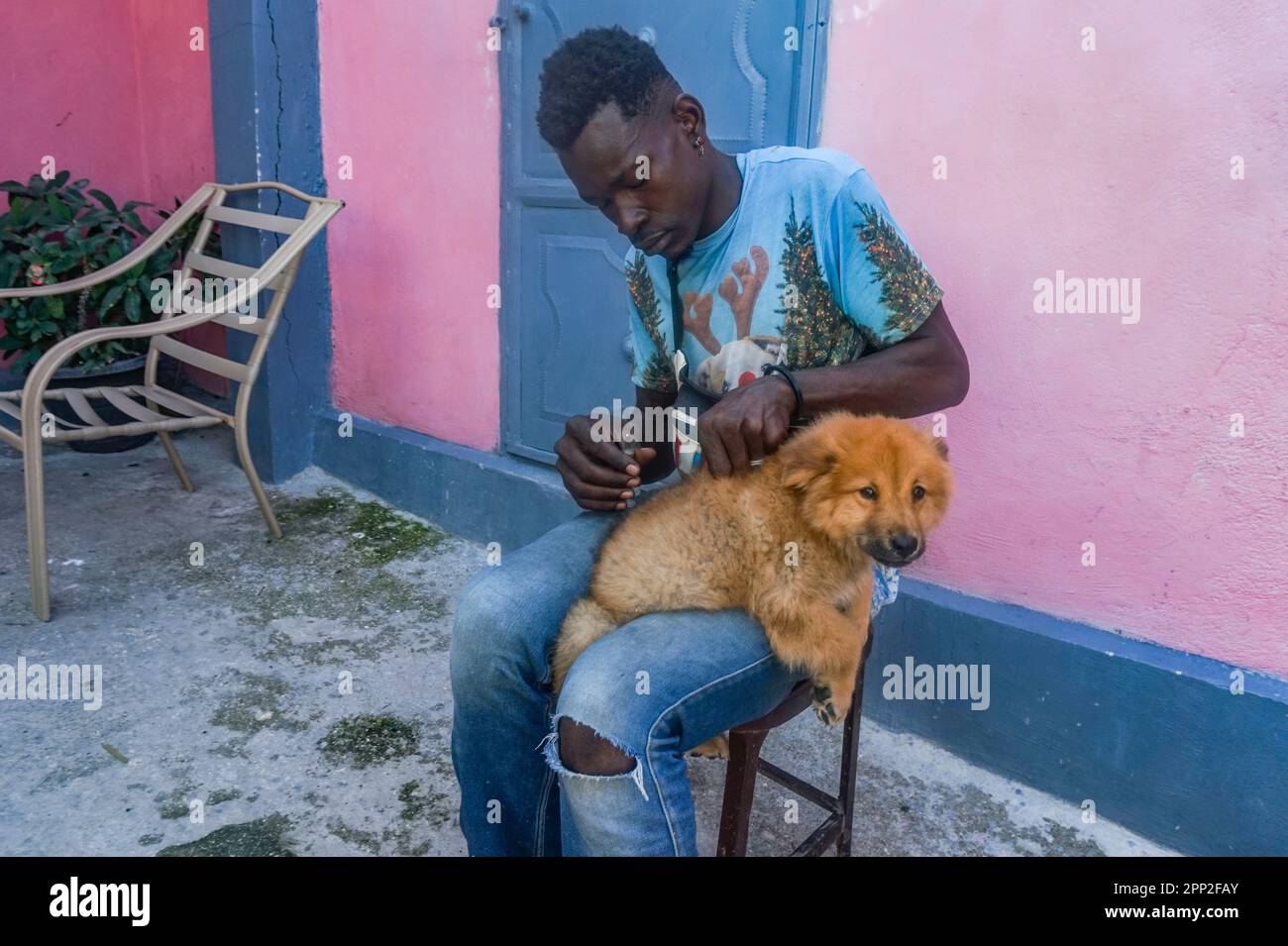 Oscar Joacin vaccine un chiot à Port-au-Prince, Haïti, le 16 novembre 2022. Joacin dit que les vaccins pour chiens sont en forte demande car les propriétaires veulent garder leurs animaux de compagnie en bonne santé. (Anne Myriam Bolivar/Global Press Journal) Banque D'Images