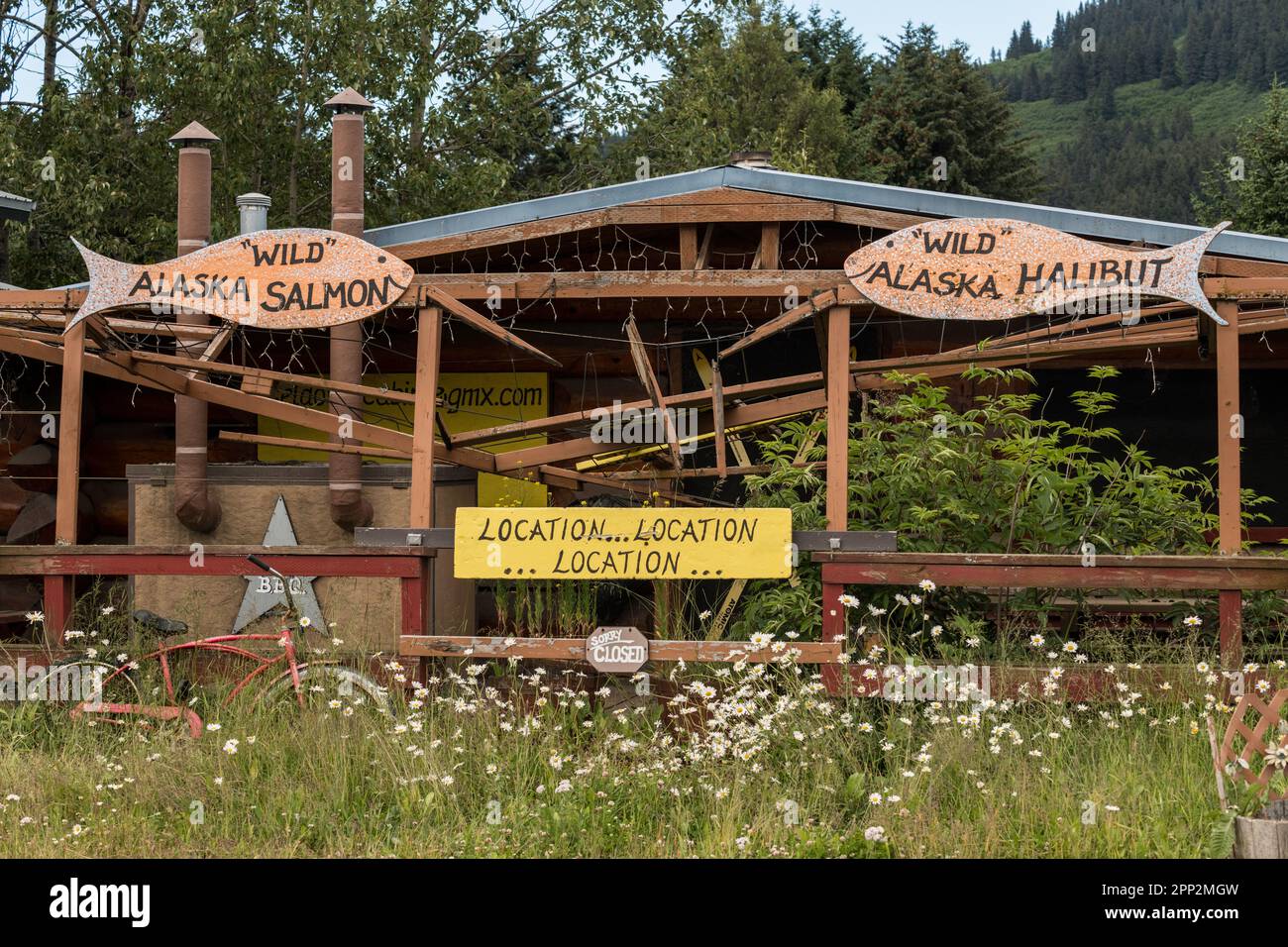 Un bâtiment pittoresque annonçant le saumon sauvage de l'Alaska et le flétan dans le hameau isolé de Seldovia, en Alaska. Seldovia est un petit village de pêcheurs sur la baie de Kachemak, accessible uniquement par avion ou par bateau depuis Homer, en Alaska. Banque D'Images