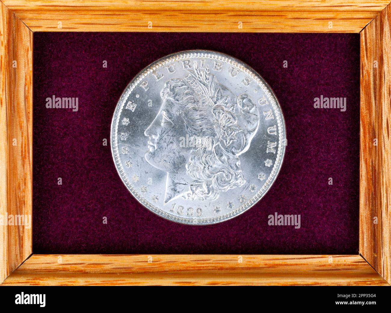 Une seule pièce de monnaie dollar morgan d'argent vieux États-Unis dans une boîte à bijoux en feutre pour la collection Banque D'Images