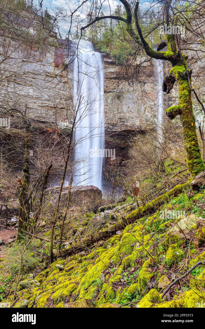 Le parc national de Fall Creek, dans l'est du Tennessee, est une zone accidentée dans une gorge, qui abrite une belle chute d'eau et un terrain très verdoyant. Banque D'Images