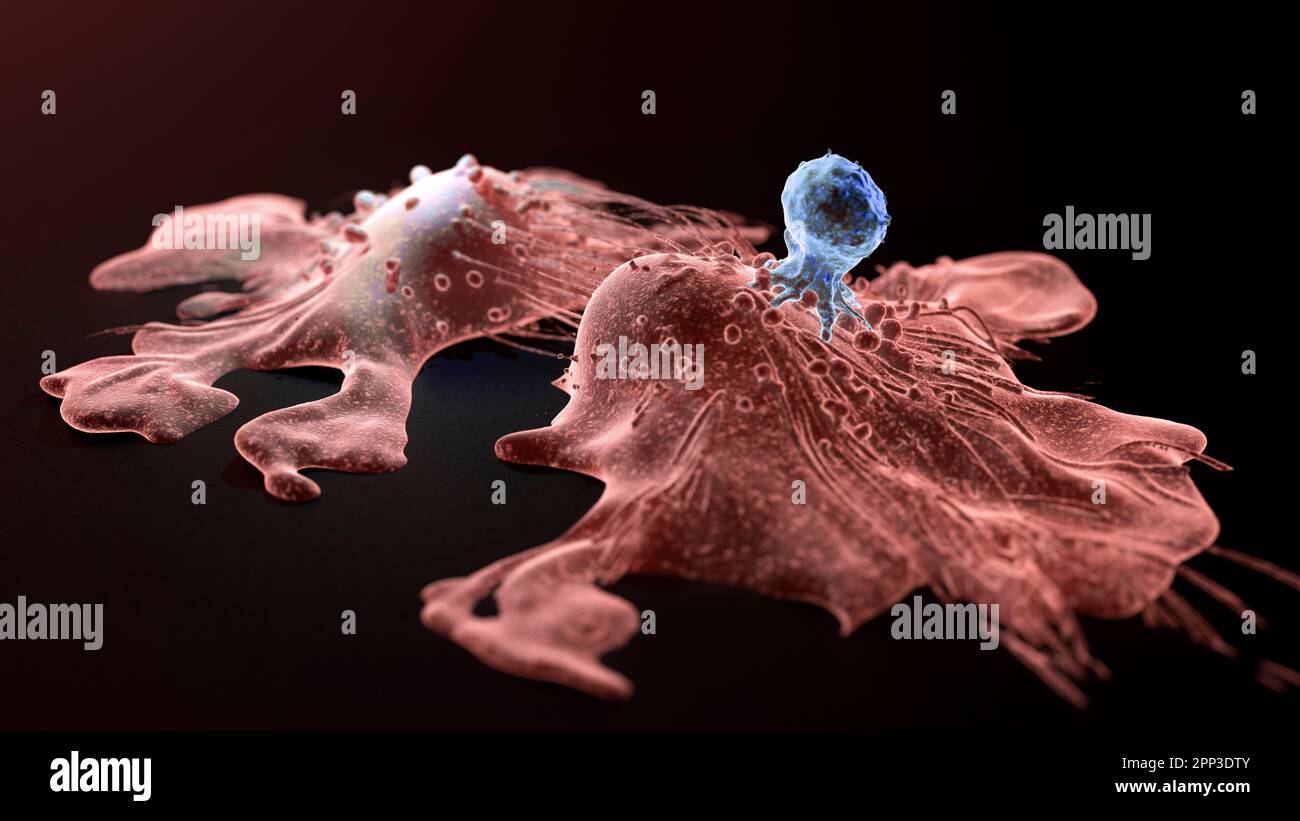 Thérapie cellulaire CAR-T, illustration Banque D'Images