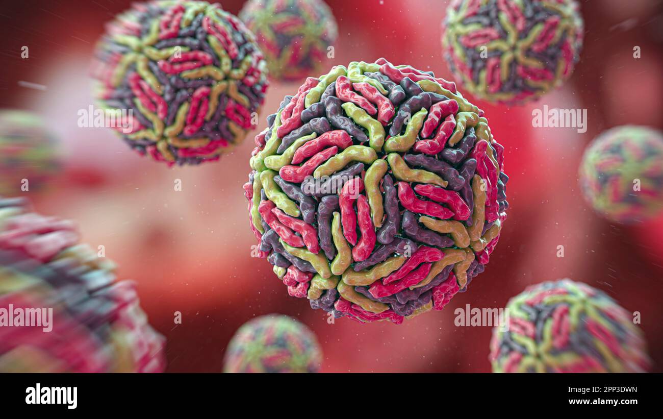 Virus Flaviviridae, illustration Banque D'Images