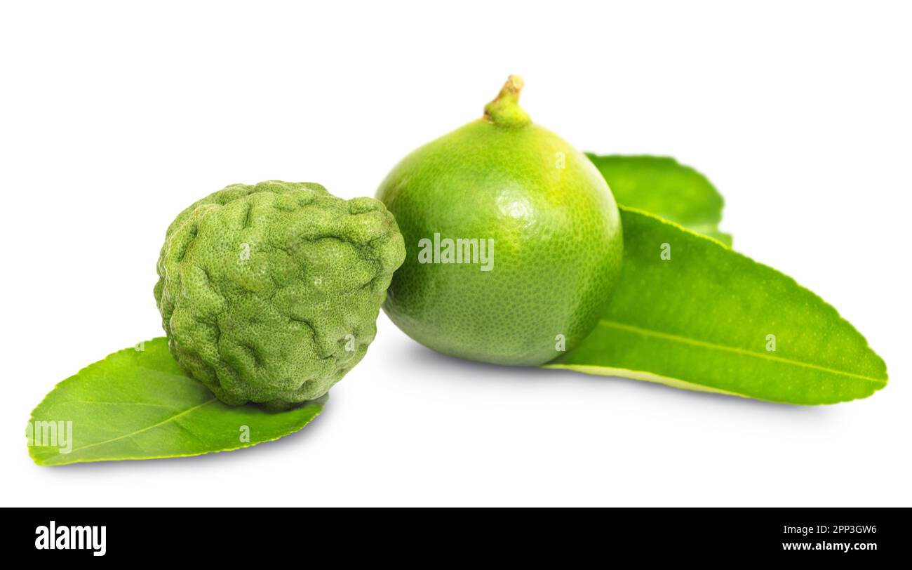 Chaux et kaffir lime avec feuilles isolées sur fond blanc Banque D'Images