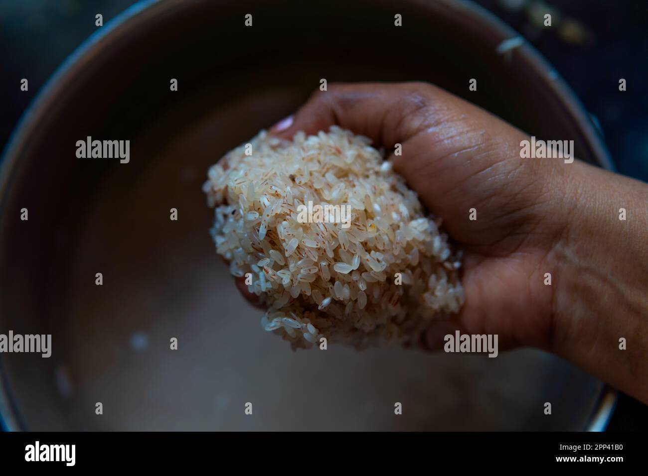 Riz bio non poli trempé rasé à la main avec le bol à l'arrière-plan avec de l'eau dans laquelle il a été trempé. De couleur brun-eau Banque D'Images