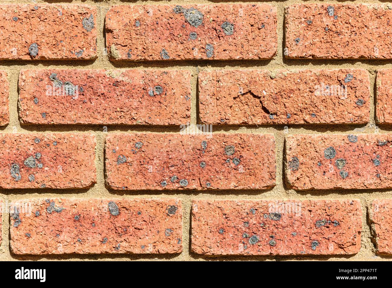 Un mur de brique rouge avec beaucoup de briques ayant des taches noires sur eux Banque D'Images