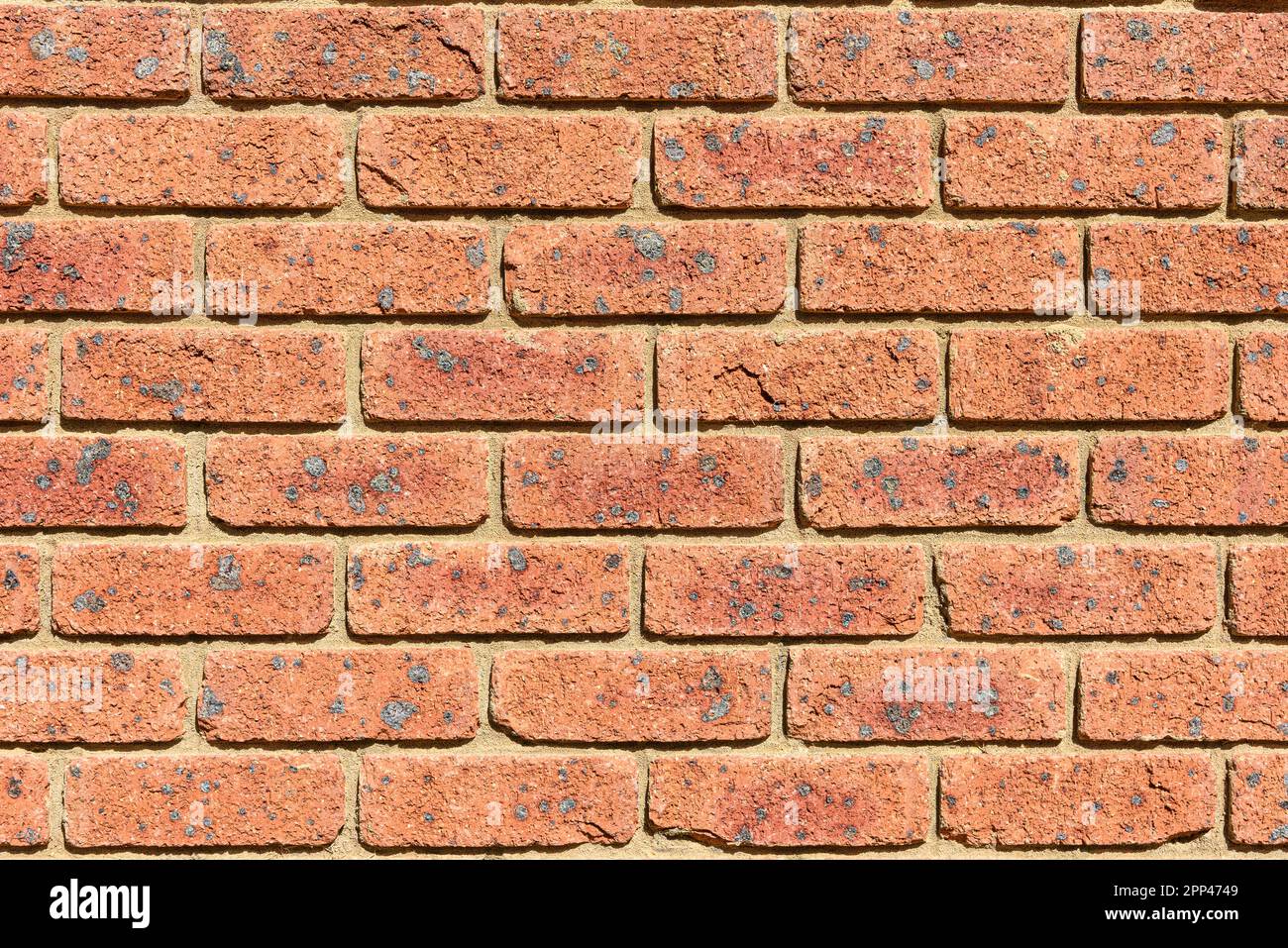 Un mur de brique rouge avec beaucoup de briques ayant des taches noires sur eux Banque D'Images