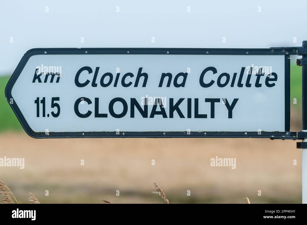 Panneau indiquant le chemin vers la ville de Clonakilty, West Cork, Irlande. Banque D'Images
