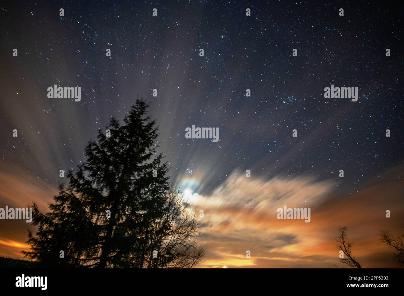 Rayons de lumière et de lueur sur le ciel nocturne, mille étoiles et silhouette d'arbre, vue fascinante. Jizerka, République tchèque. Banque D'Images