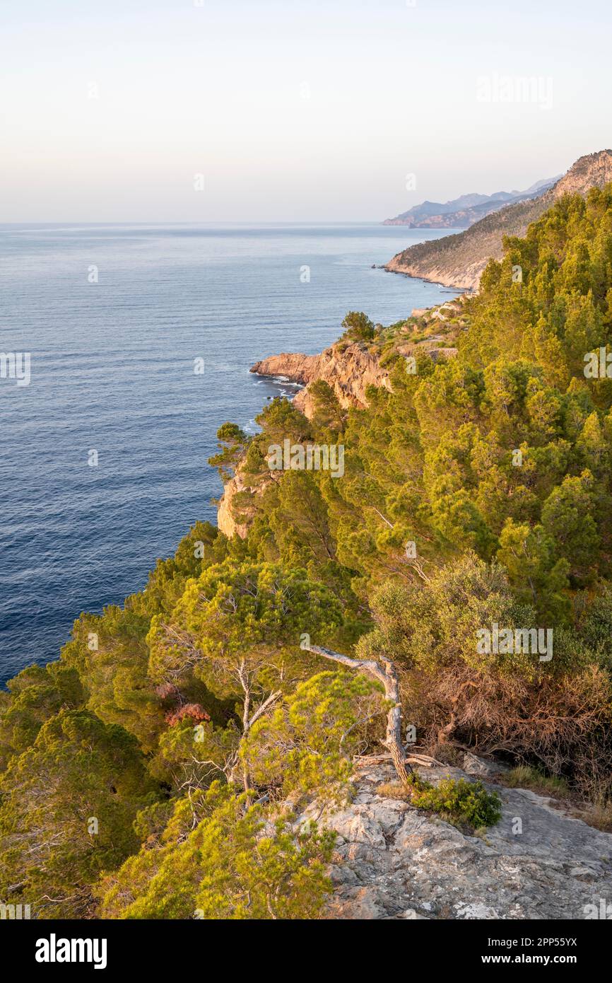 Vue sur Torre des Verger, côte, vue sur la mer, Banyalbufar, Majorque, Îles Baléares, Espagne Banque D'Images