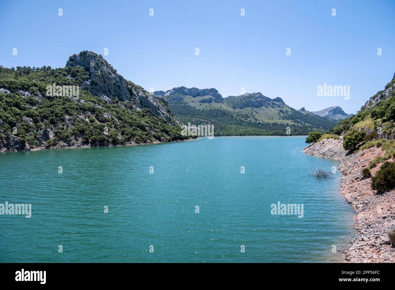 Ambassade des Gorg Blau, réservoir, Majorque, Iles Baléares, Espagne Banque D'Images