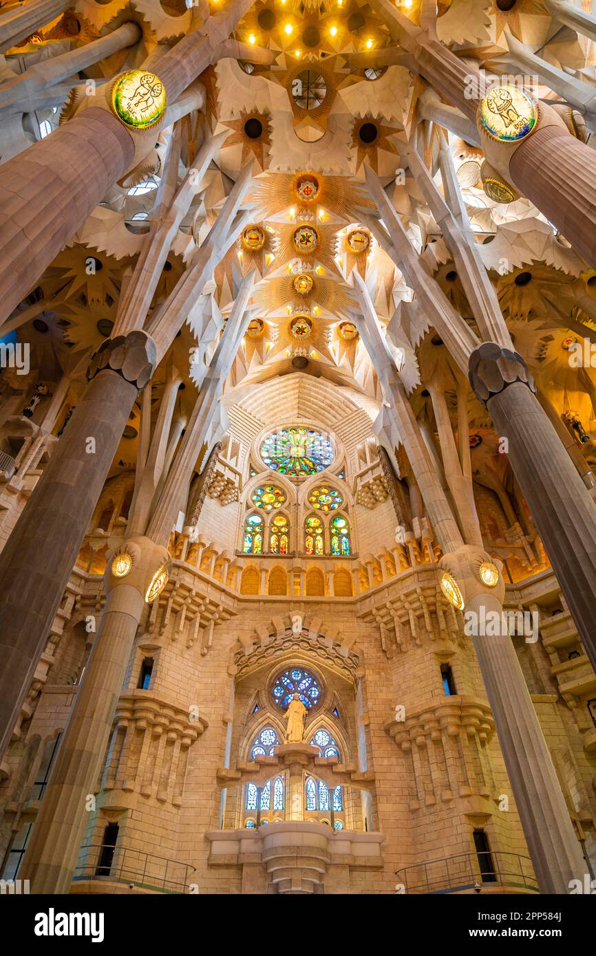 Voûte de plafond artistique avec colonnes, intérieur de la Sagrada Familia, église de l'Expiation de la Sainte famille, architecte Antoni Gaudi Banque D'Images