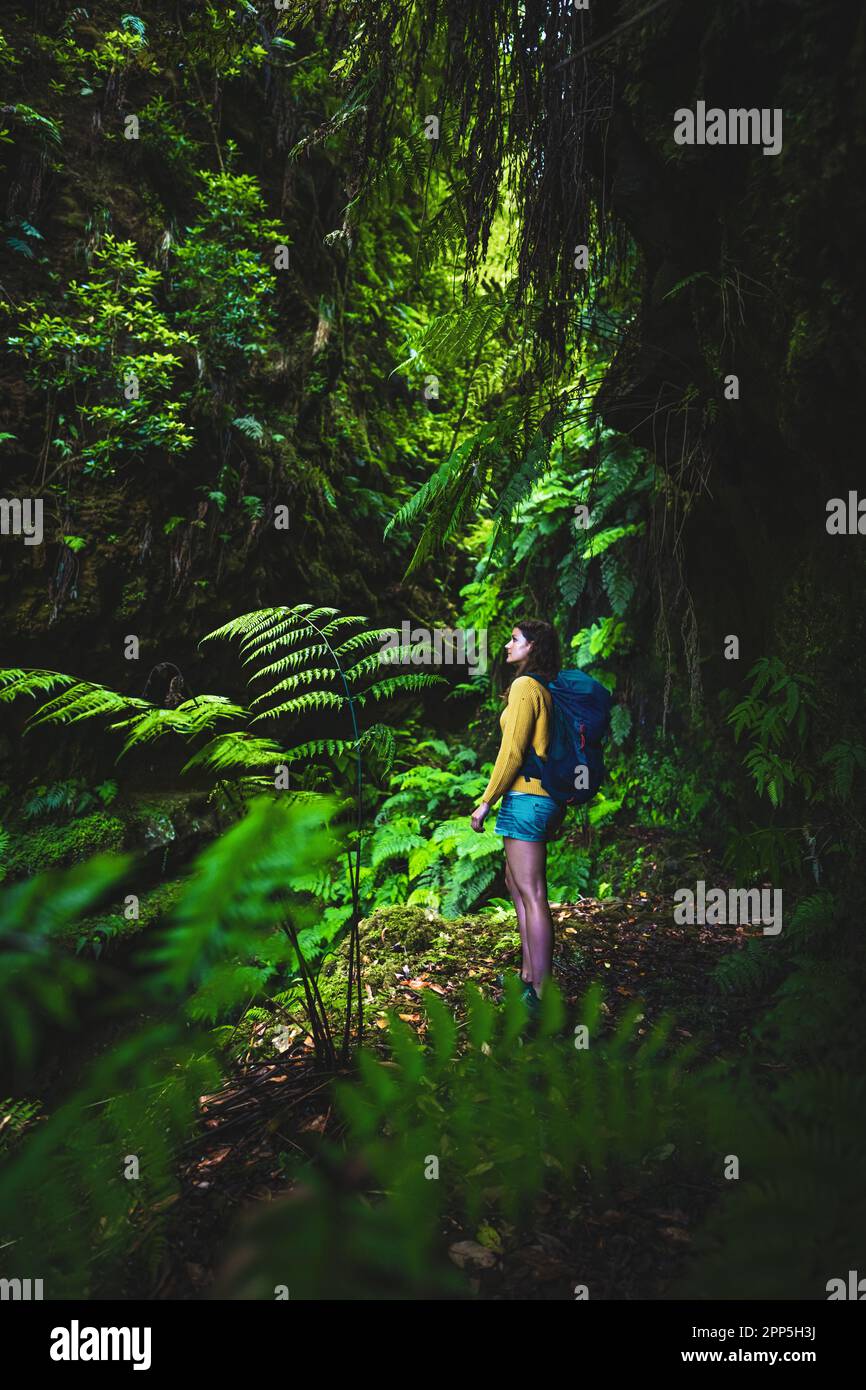 Description: Backpacker femme marchant sur une gorge couverte de fougère avec le vieux pont quelque part dans la forêt tropicale de Madeiran dans la matinée. Levada de Caldeirão Ver Banque D'Images