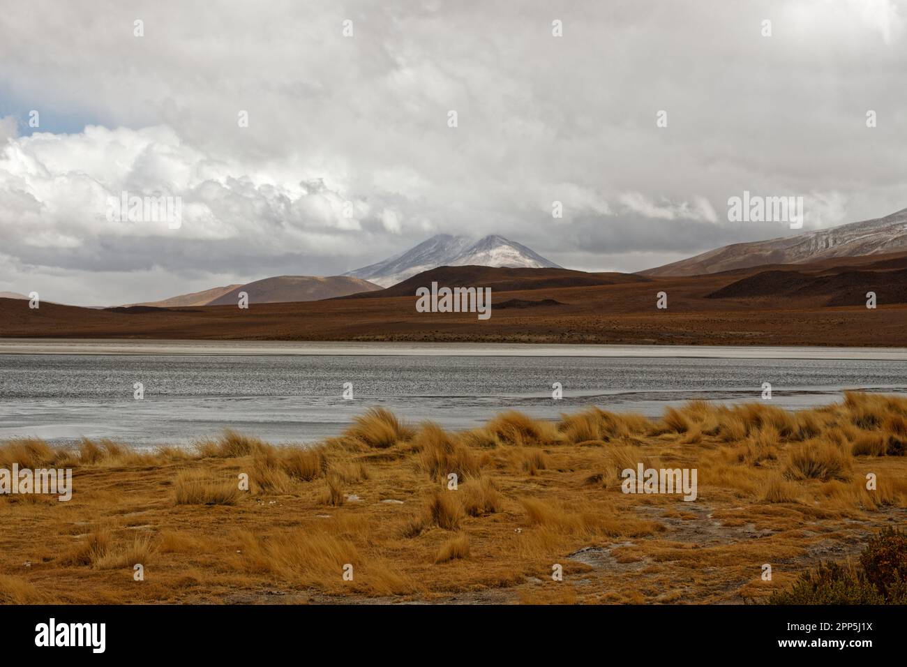 Une journée froide et nuageux à Laguna Cañapa, district de Potosí, Bolivie Banque D'Images
