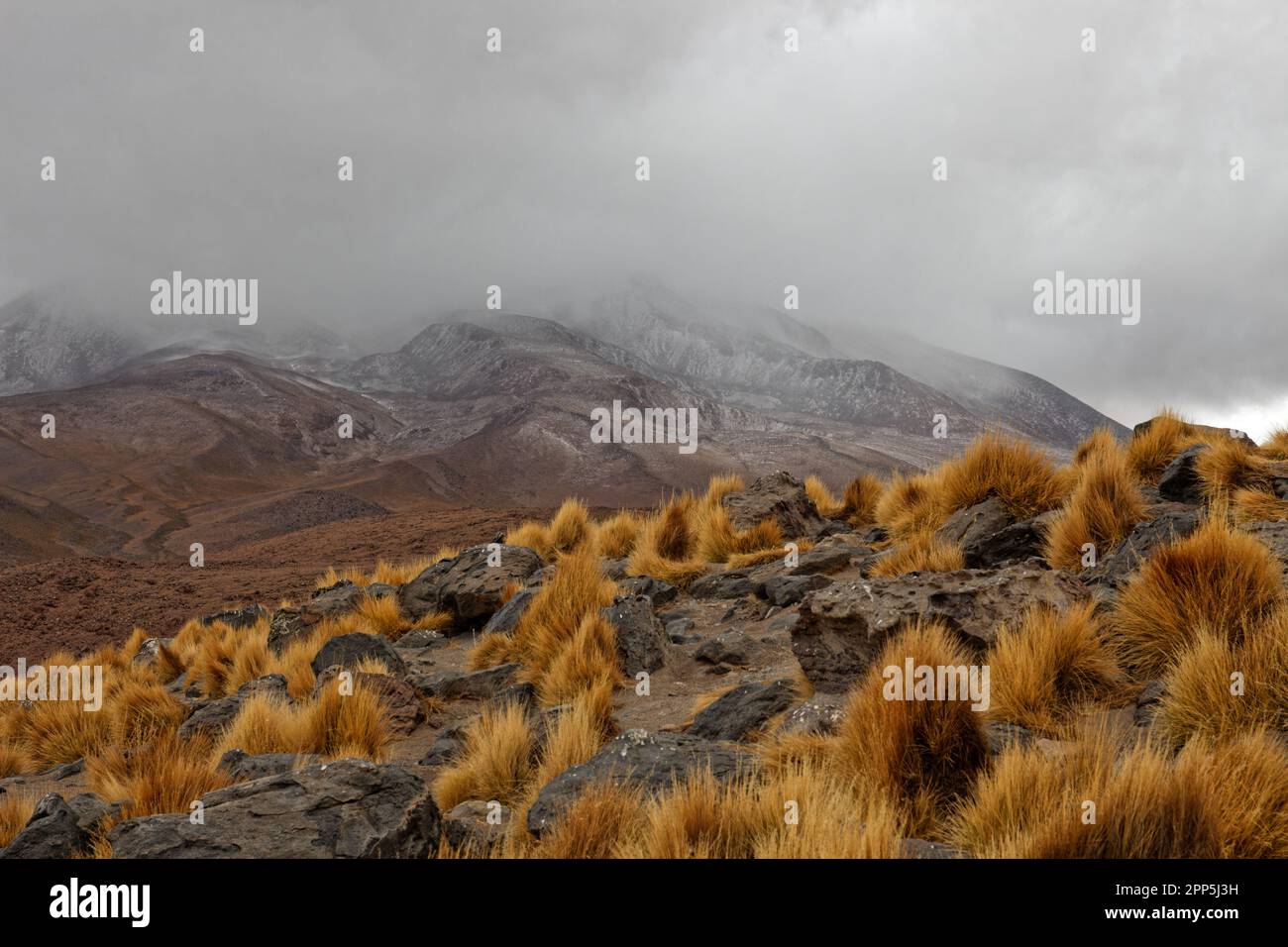 Une journée froide et nuageux à Laguna Cañapa, district de Potosí, Bolivie Banque D'Images