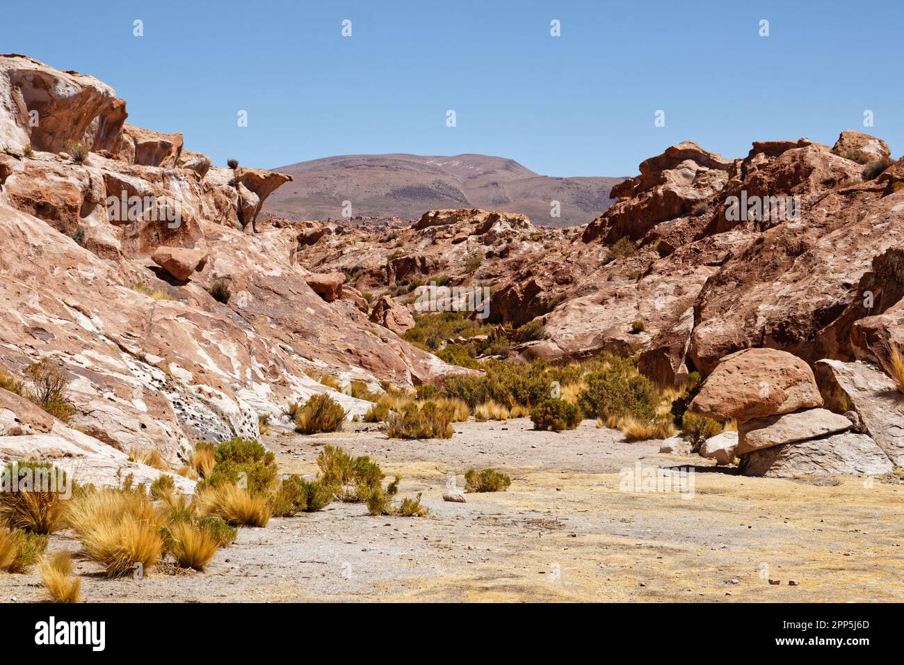 Formations rocheuses près de Laguna Negra, district de Potosí, Bolivie Banque D'Images