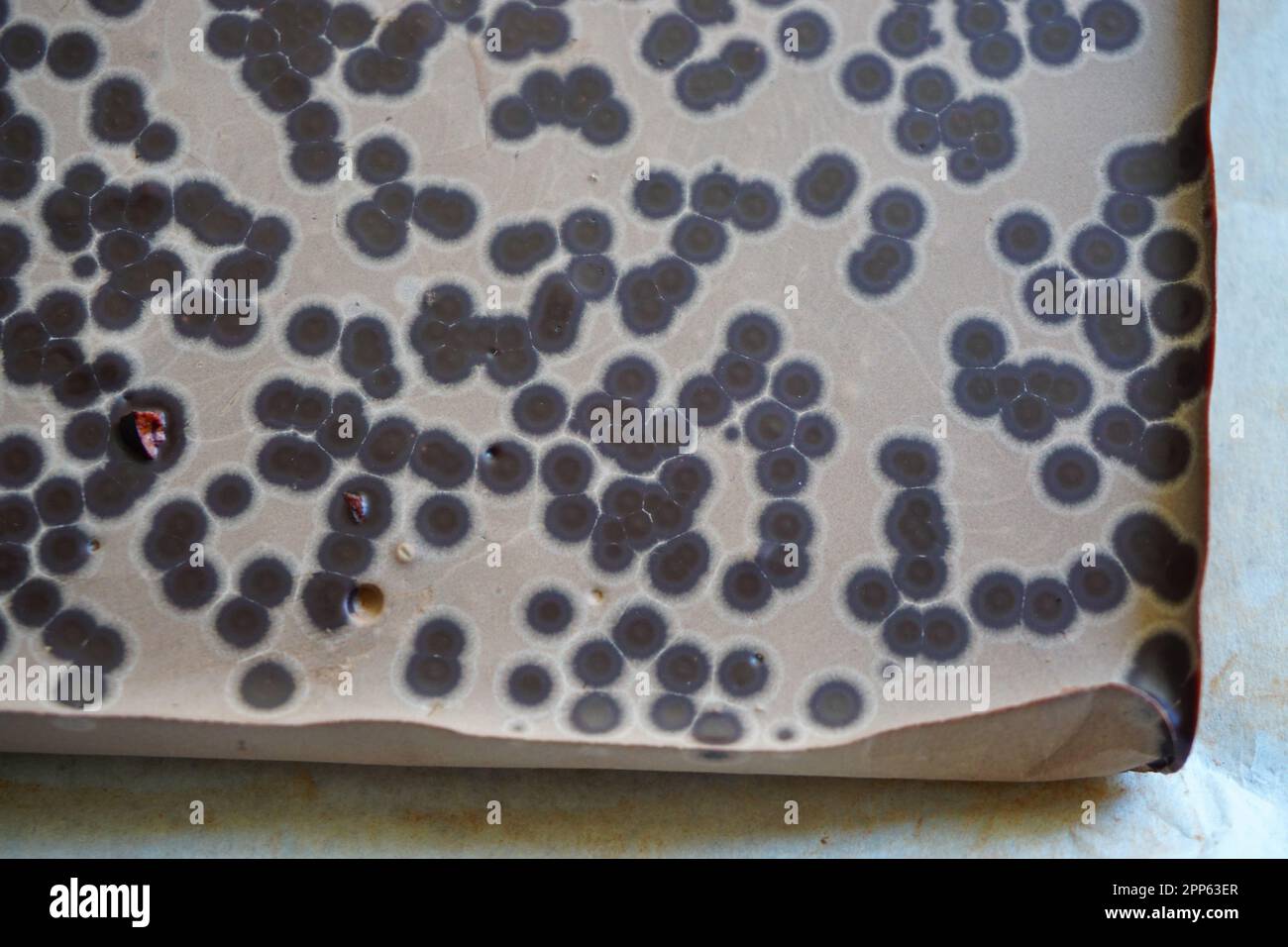 Chocolat fait maison de grain à bar pas encore trempé avec de la fleur de graisse visible Banque D'Images