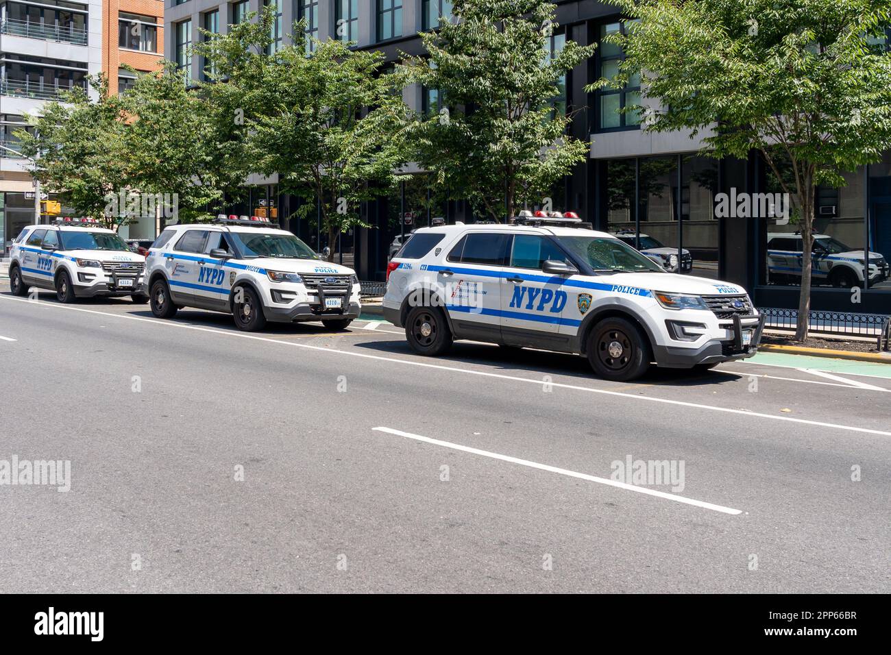 NYPD voitures de police à New York, USA. Banque D'Images