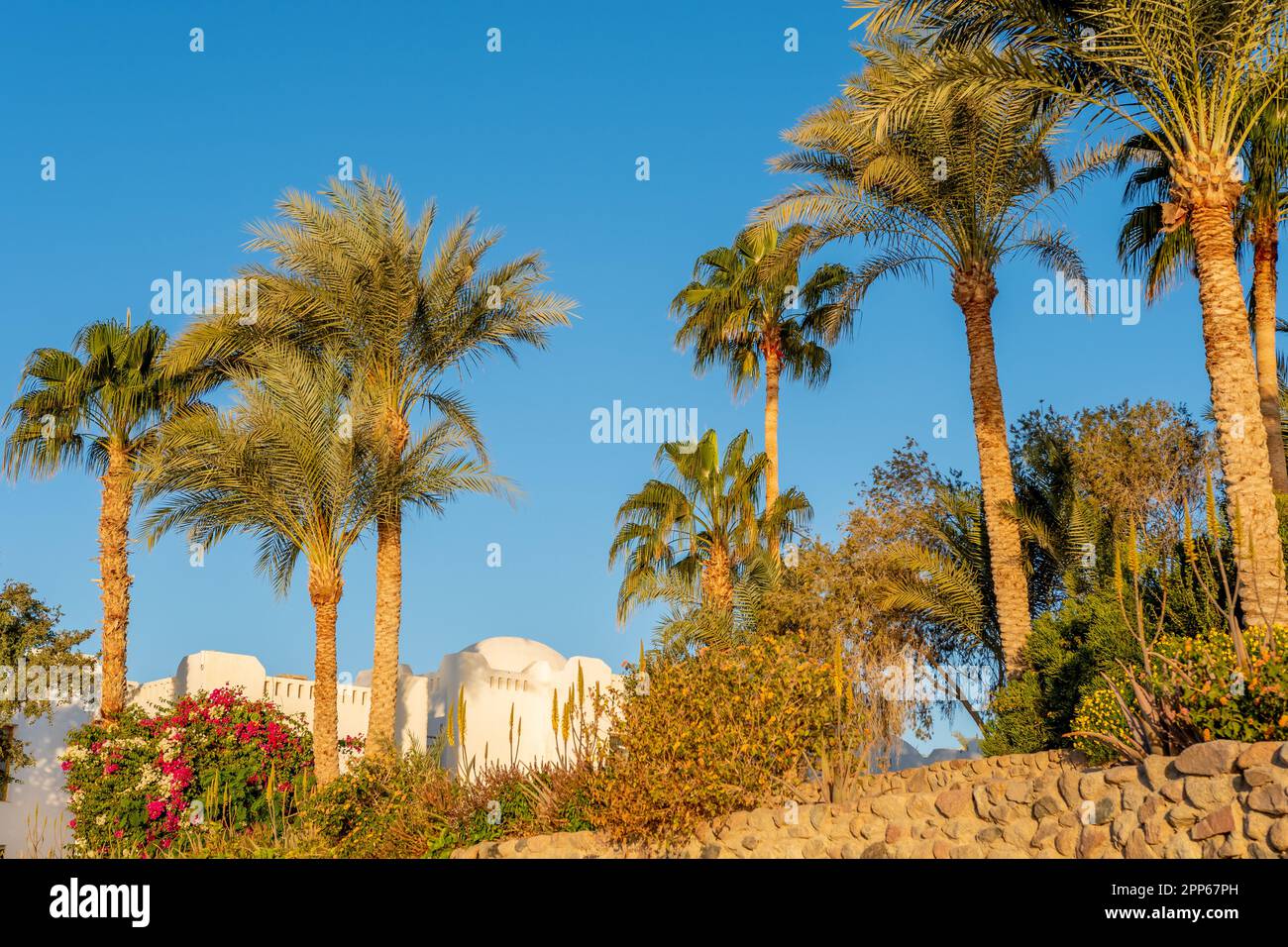 Des bâtiments blancs et un espace de loisirs en Égypte. Banque D'Images