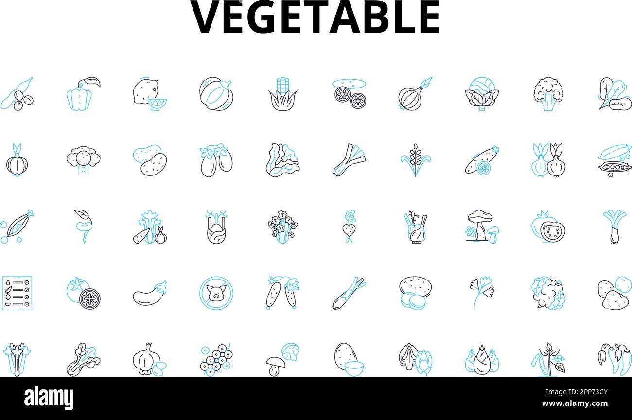 Jeu d'icônes linéaires de légumes. Carotte, brocoli, chou-fleur, épinards, racine de betterave, Oignon, symboles vectoriels Cucumber et signes de concept de ligne. Champignon, cloche Illustration de Vecteur