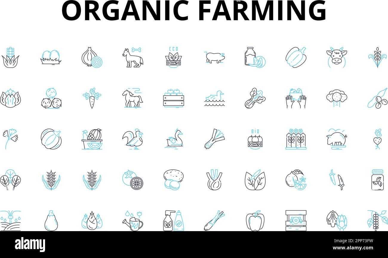 Jeu d'icônes linéaires d'agriculture biologique. Durabilité, sol, pesticides, cultures, engrais, Compost, symboles vectoriels de la biodiversité et signes de concept de ligne Illustration de Vecteur