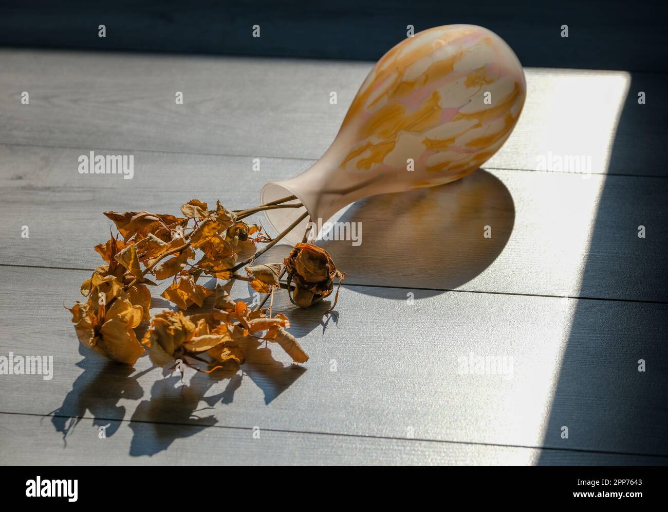 Bouquet de fleurs séchées dans un vase en verre tombé sur le sol, avec éclairage naturel d'une fenêtre à proximité qui projette des ombres. Banque D'Images