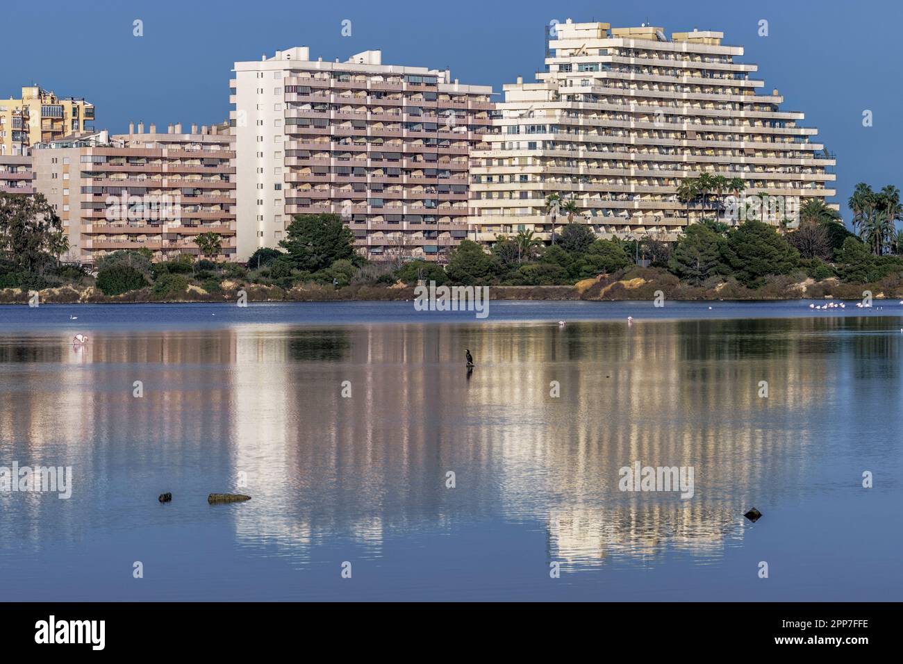 Observatoire des oiseaux comprenant les Flamingos des Salines (Paseo Las Salinas) dans la municipalité de Calp (Calpe) sur la côte méditerranéenne de l'Espagne. Banque D'Images