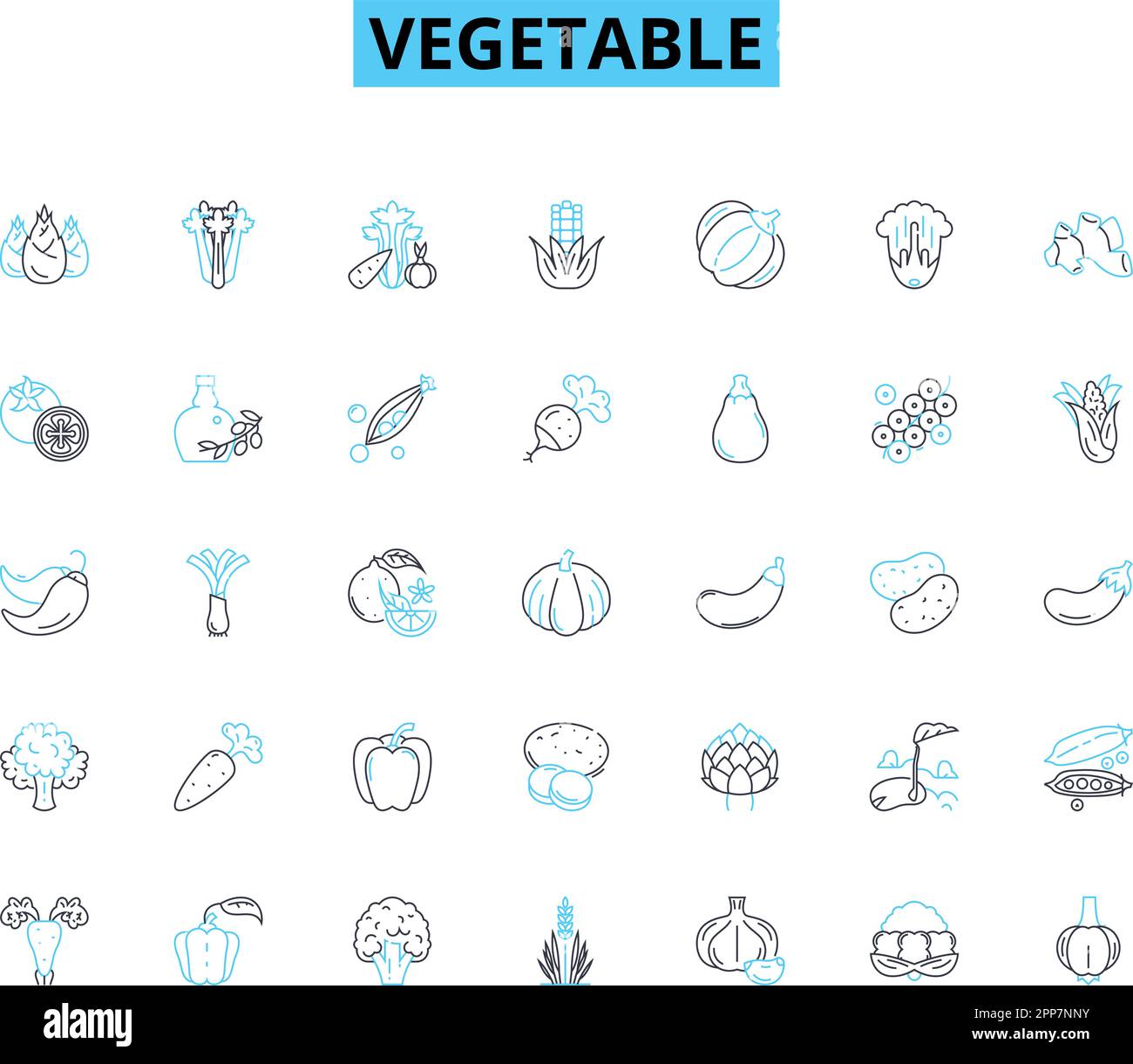 Jeu d'icônes linéaires de légumes. Carotte, brocoli, chou-fleur, épinards, racine de betterave, Oignon, vecteur de ligne de concombre et signes de concept. Champignons, poivron Illustration de Vecteur