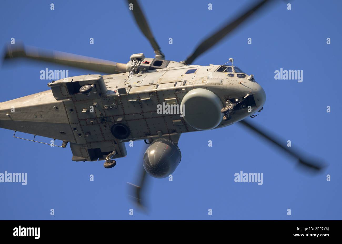 Merlin MK2 Airbourne surveillance and Control (ASAC) hélicoptère dans le circuit de RNAS Culdrose Banque D'Images