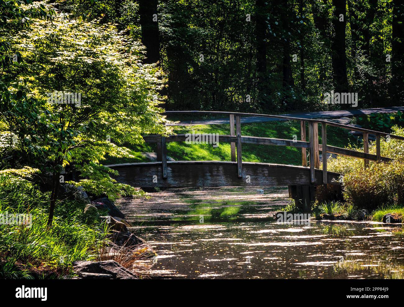 Pont en bois au-dessus d'une rivière envasée Banque D'Images