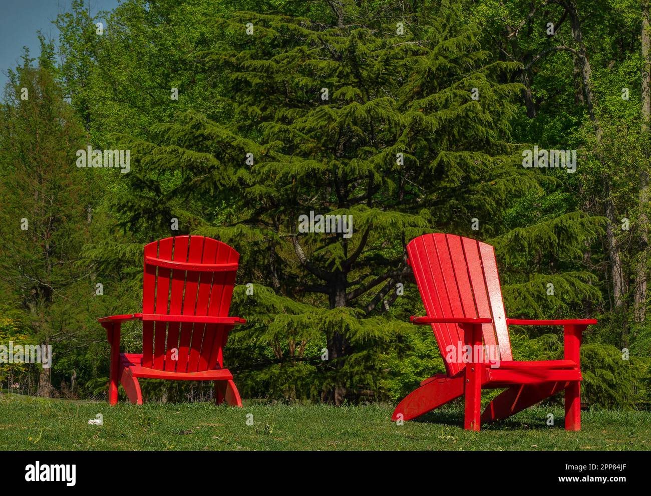 Deux chaises rouges en haut d'une colline Banque D'Images