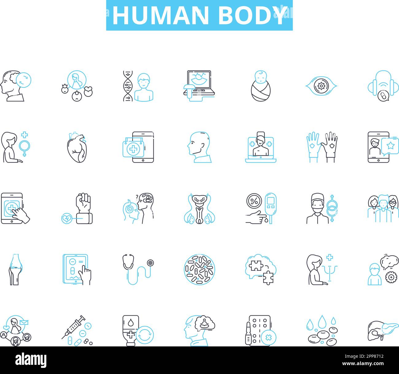 Ensemble d'icônes linéaires du corps humain. Anatomie, physiologie, organes, muscles, nerfs, BS, vecteur de la peau et signes conceptuels. Sang, cellules, contour de l'ADN Illustration de Vecteur