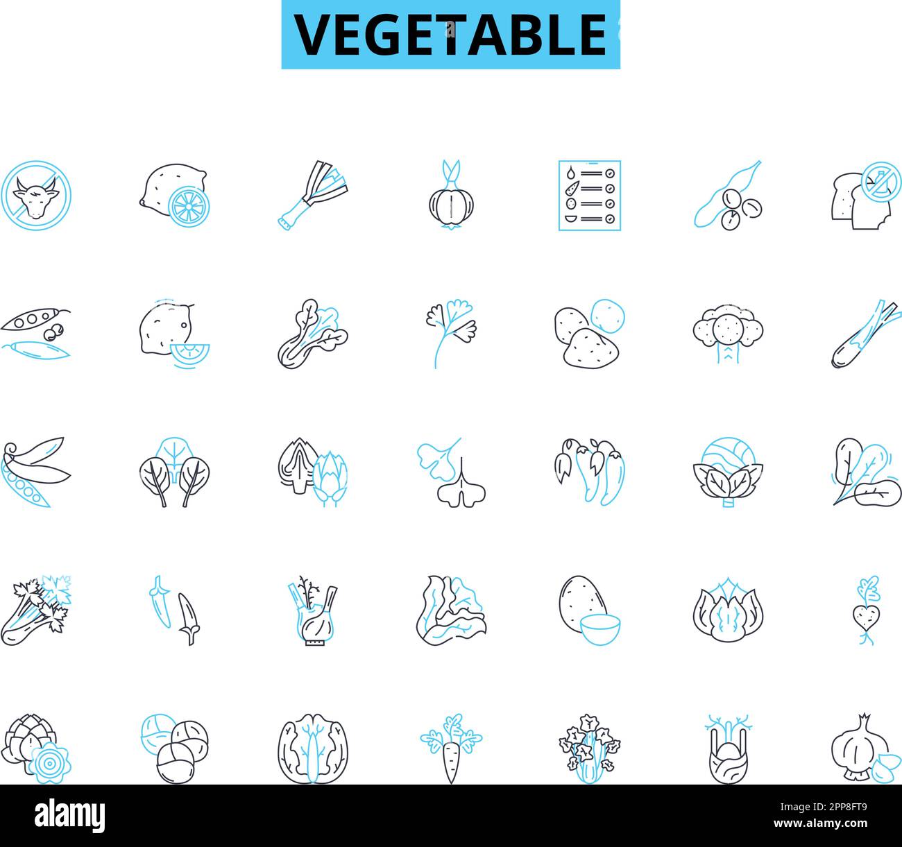 Jeu d'icônes linéaires de légumes. Carotte, brocoli, chou-fleur, épinards, racine de betterave, Oignon, vecteur de ligne de concombre et signes de concept. Champignons, poivron Illustration de Vecteur