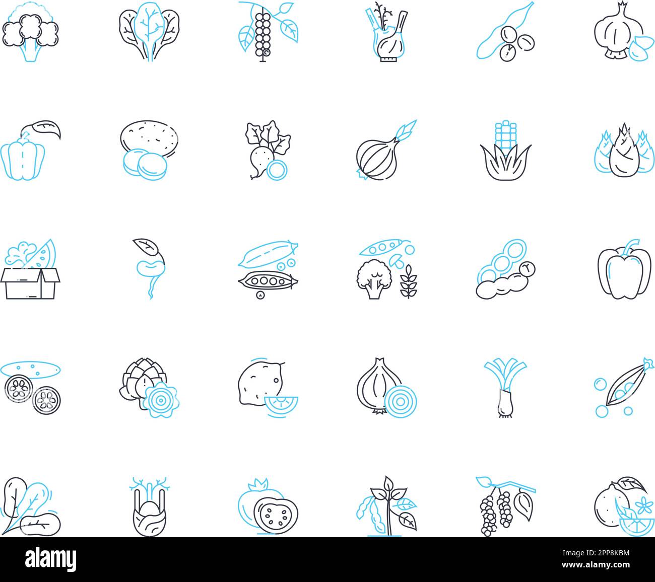 Vert ensemble d'icônes linéaires. Épinards, chou vert, arugula, collard, laitue, Carde suisse, Turnip greens vecteur de ligne et signes de concept. Chou, bok choy Illustration de Vecteur