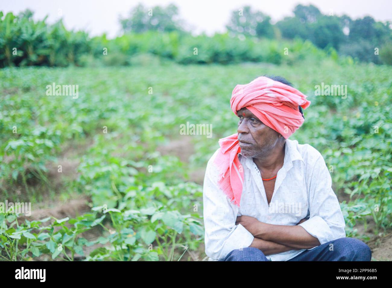 Pauvre agriculteur indien dans la ferme, triste agriculteur, perte d'agriculteur Banque D'Images