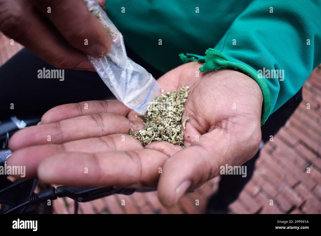 Les gens détiennent du cannabis pour construire des cigarettes pendant les célébrations de la Journée du cannabis 420 à Bogota, Colombie sur 20 avril 2023. Photo de: Cristian Bayona/long Visual Press Banque D'Images