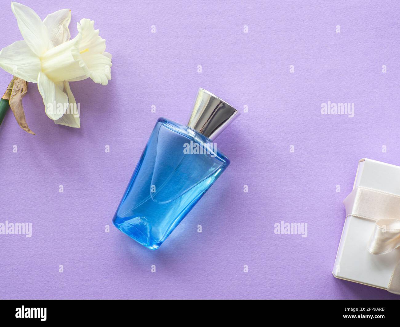 Boîte cadeau blanche et bouteille de parfum avec narcisse sur fond lilas avec espace de copie. Concept de donner un cadeau sur Womens, le calamar de fête des mères Banque D'Images