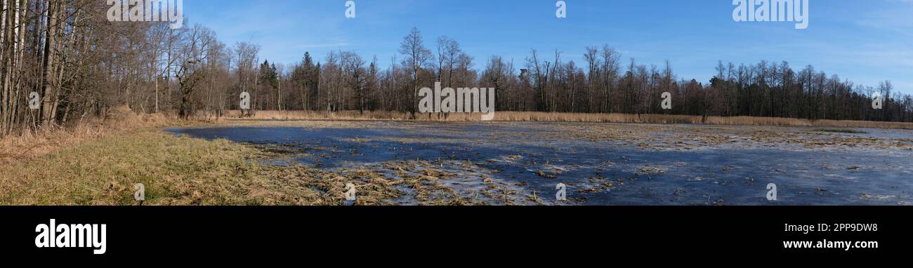Prairies partiellement gelées en hiver, panorama soleil, Podlaskie Voivodeship, Pologne, Europe Banque D'Images