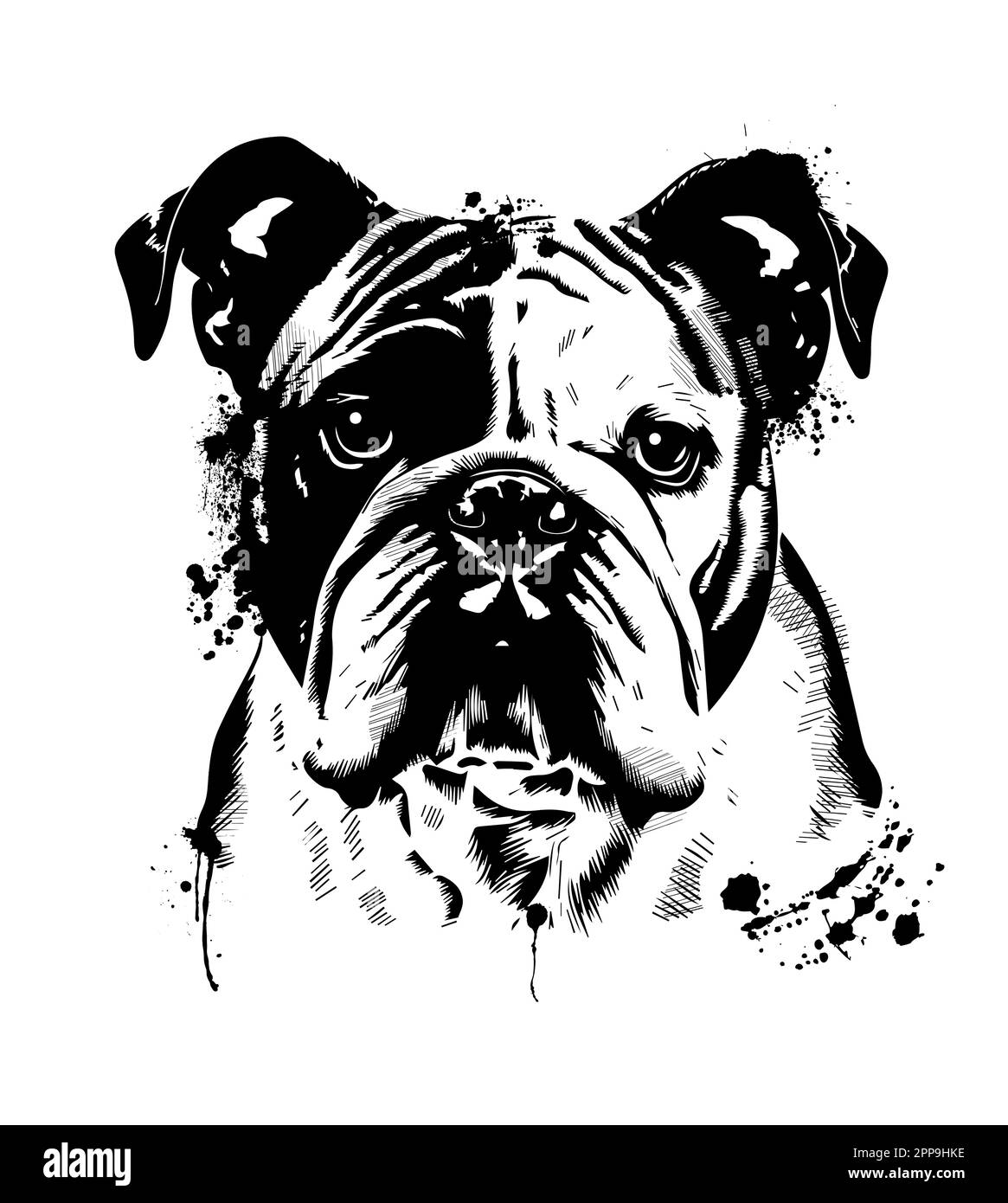 objet graphique monochrome bulldog. Visage de chien. Illustration vectorielle dessinée à la main. Illustration de Vecteur