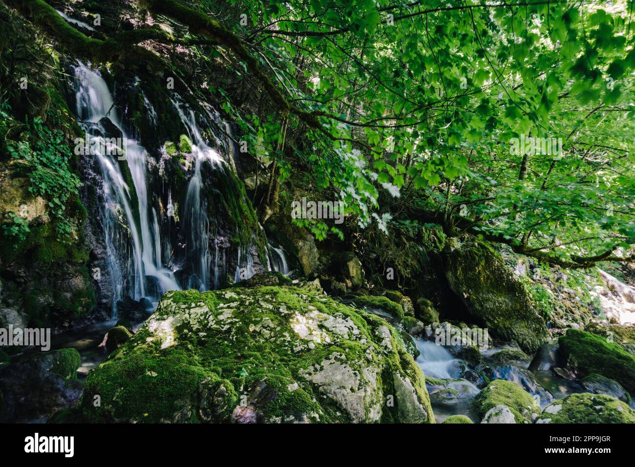 Cascades de la rivière Cholet dans les Alpes françaises, près de Pont en Royans dans la chaîne des Vercors Banque D'Images