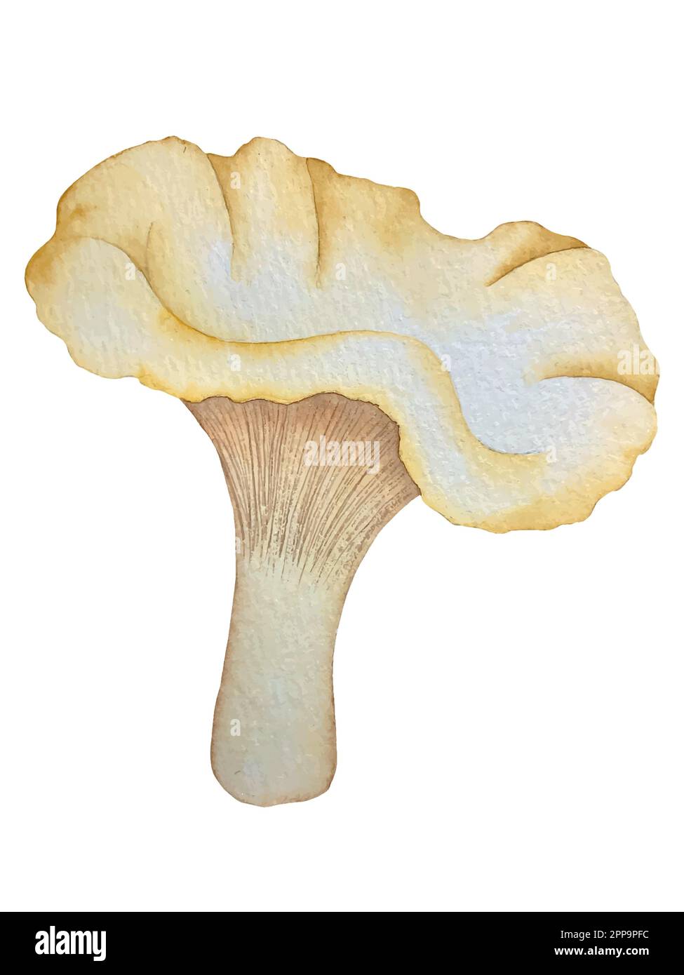 Set d'automne aquarelle vector. Décorations avec feuilles de forêt et champignons. Illustration de Vecteur