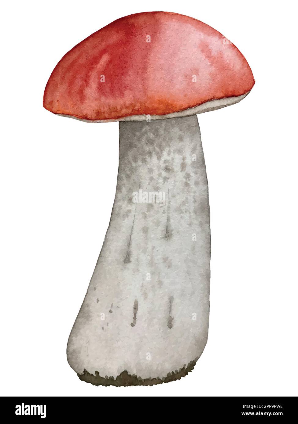 Set d'automne aquarelle vector. Décorations avec feuilles de forêt et champignons. Illustration de Vecteur