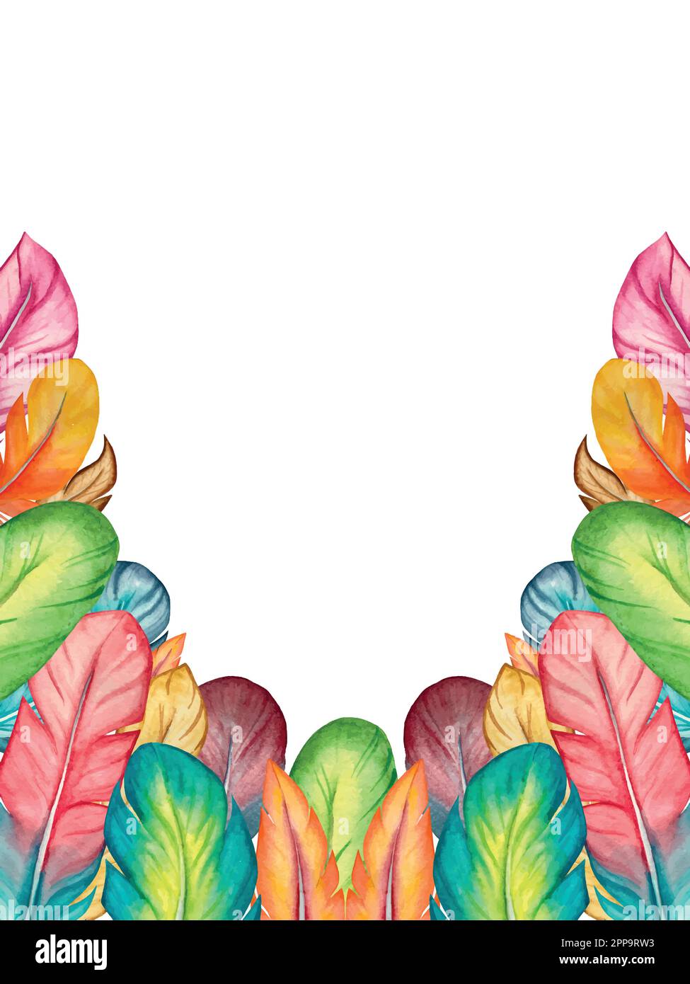 Collection de plumes vectorielles aquarelle. Éléments décoratifs avec plumes. Illustration de Vecteur