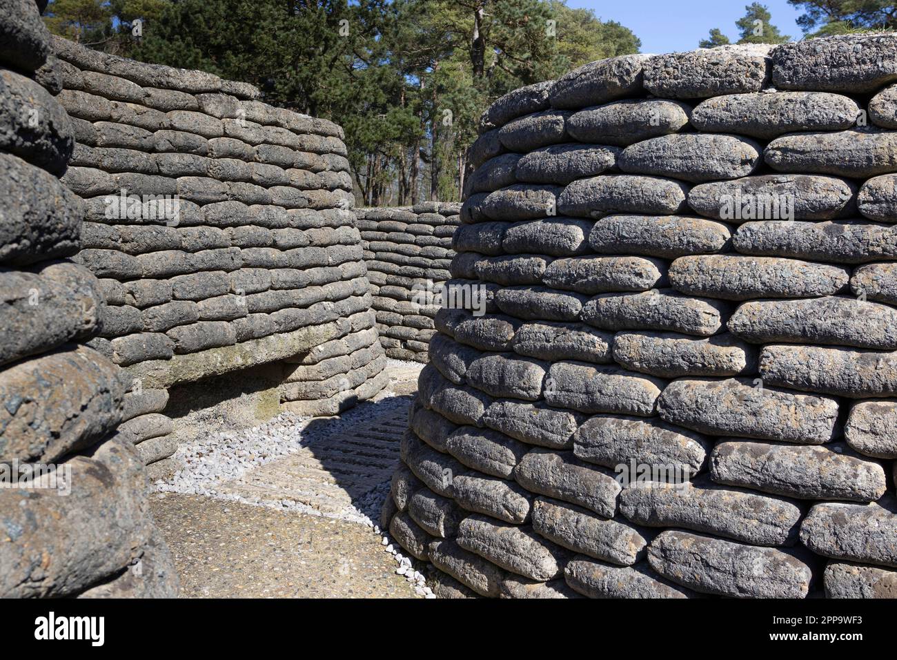 Tranchées reconstruites à la fin de la première Guerre mondiale, trouvées à la crête de Vimy, près de Lens en France. Banque D'Images