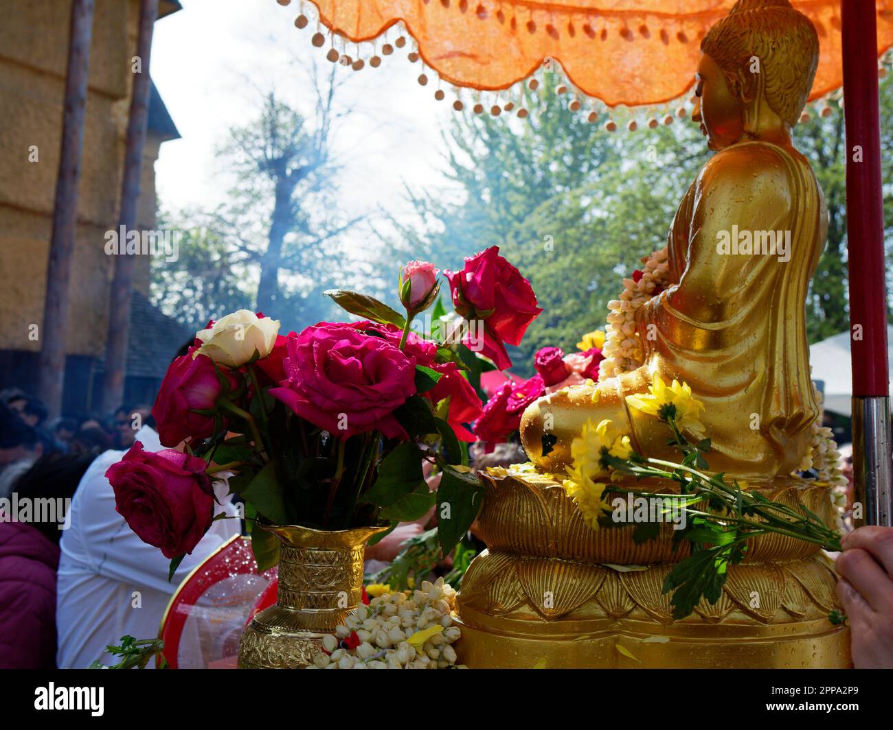 APPAREIL PHOTO NUMÉRIQUE OLYMPUS Banque D'Images