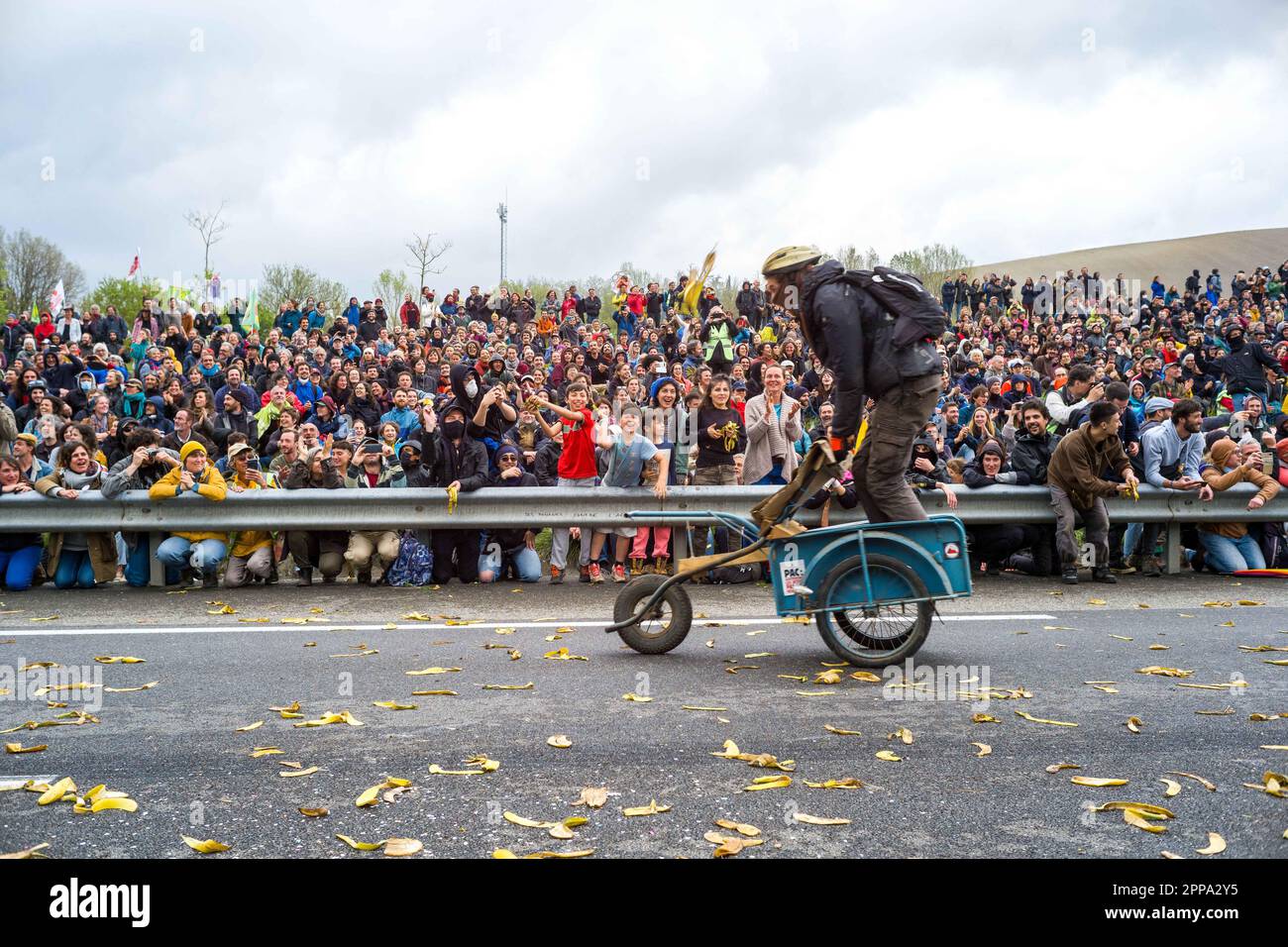 Course de bolides, avec le sol recouvert de pelures de banane. Sur la — free download