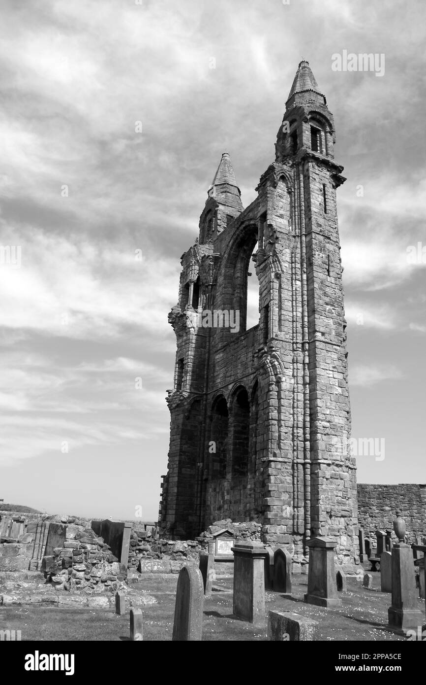Ruine de la cathédrale St Andrews, Écosse Banque D'Images
