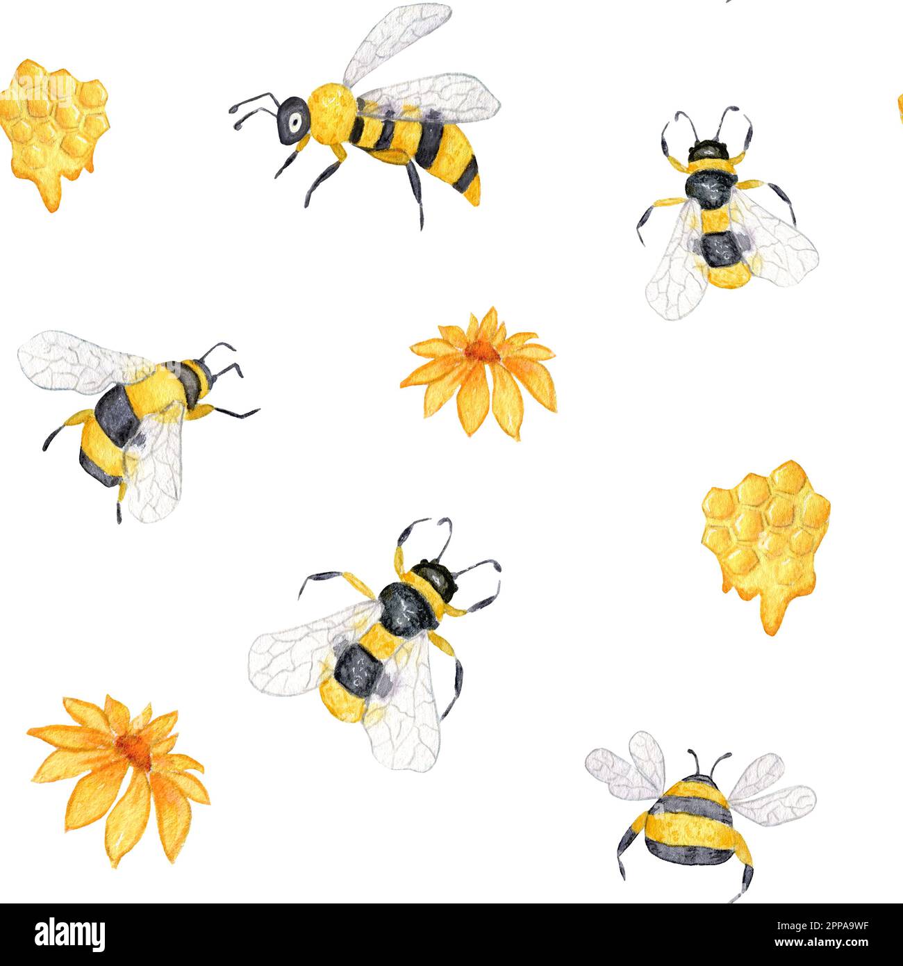 Motif aquarelle sans coutures avec abeilles, fleurs et nid d'abeille.  Apiculture. Conception pour l'emballage de produits au miel Photo Stock -  Alamy