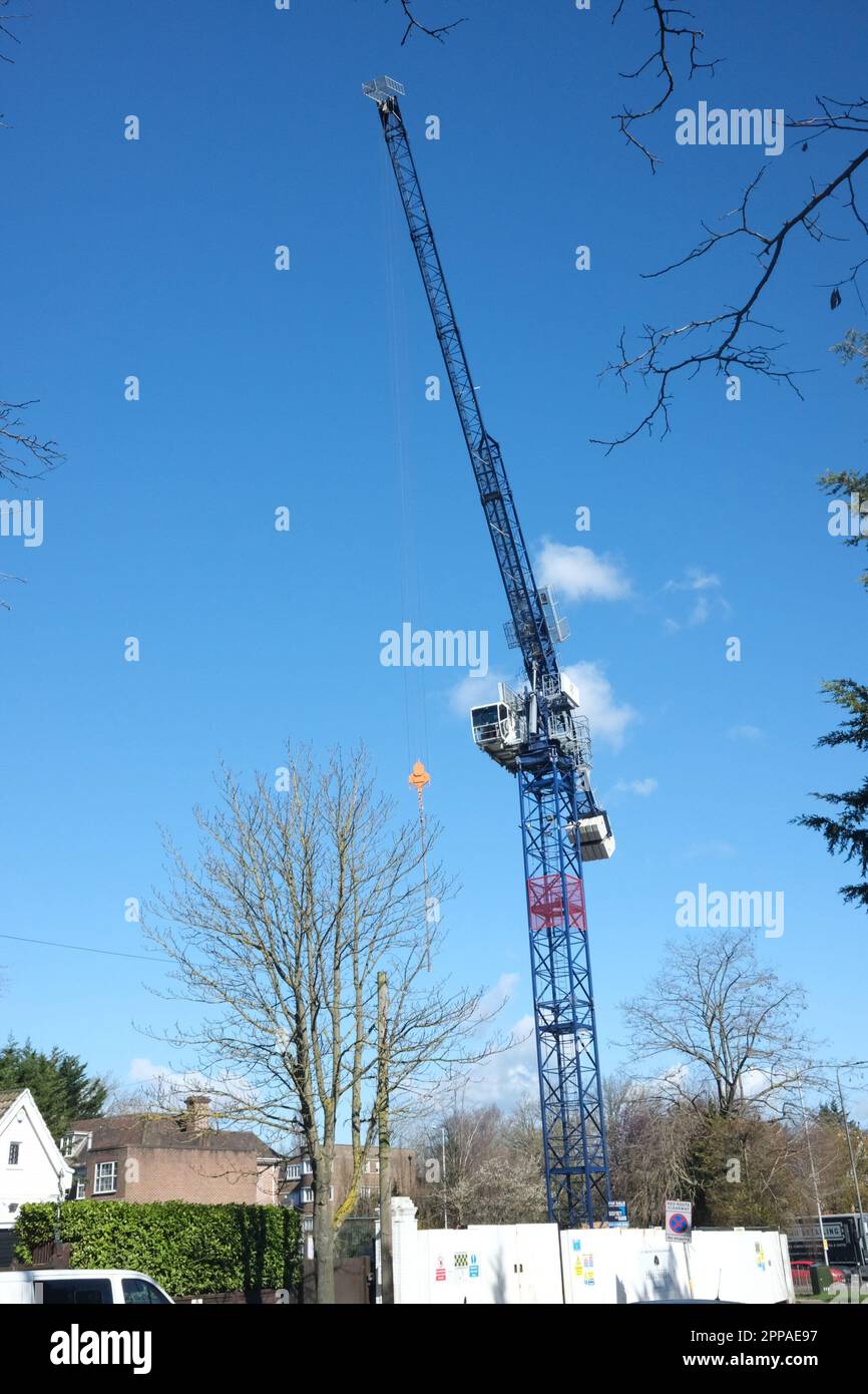 Une grue miniature perçant le ciel par une magnifique journée ensoleillée d'hiver, à Hampstead, au nord de Londres, entourée d'arbres avec leurs branches nues Banque D'Images