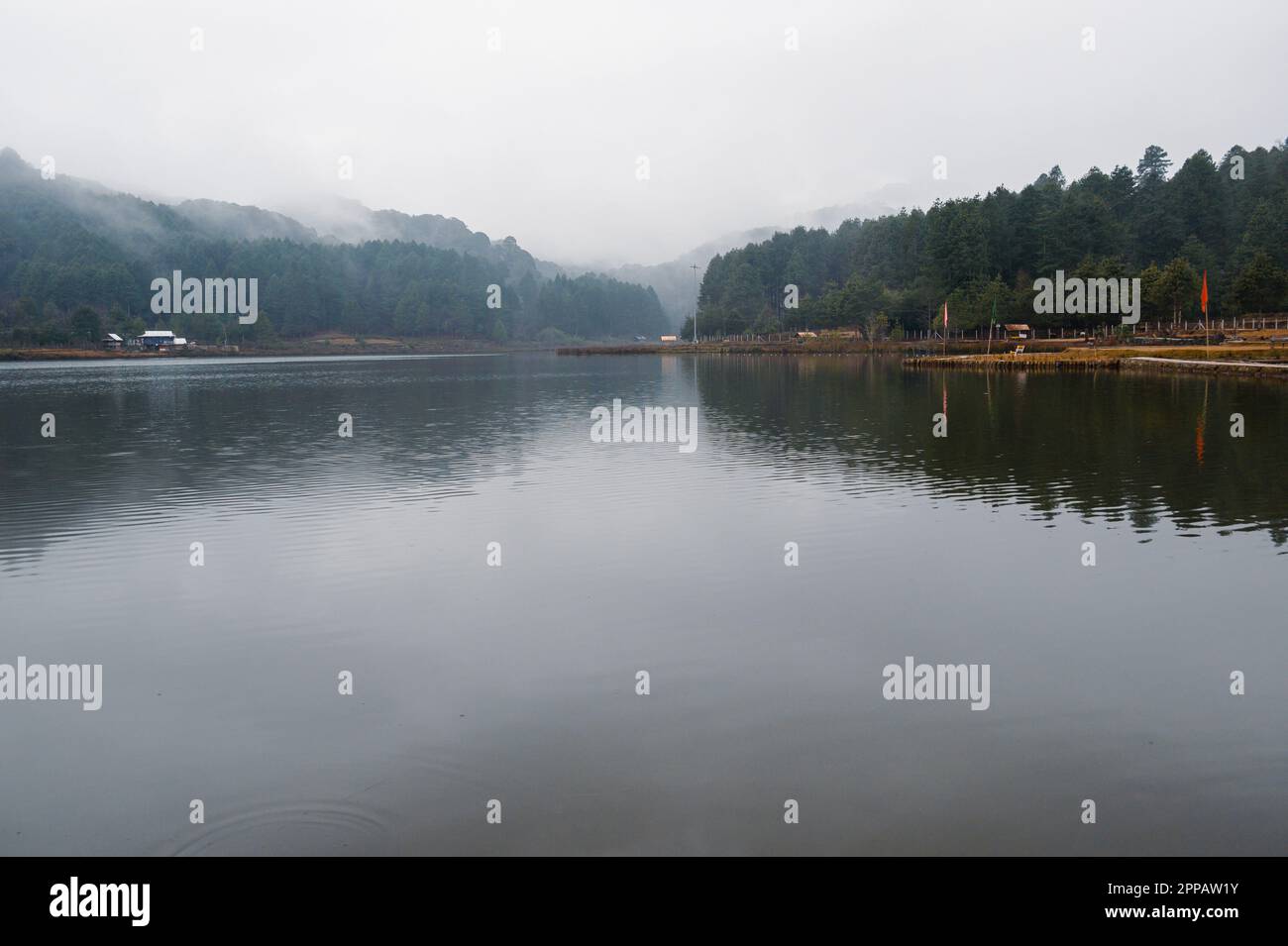 Réflexion d'arbres dans le lac. Le LAC SEEH s'appelle également 'Lac WKHE' Biirii, Ziro, Arunachal marbre artificiel situé à Ziro, Arunachal Pradesh, Inde. Banque D'Images