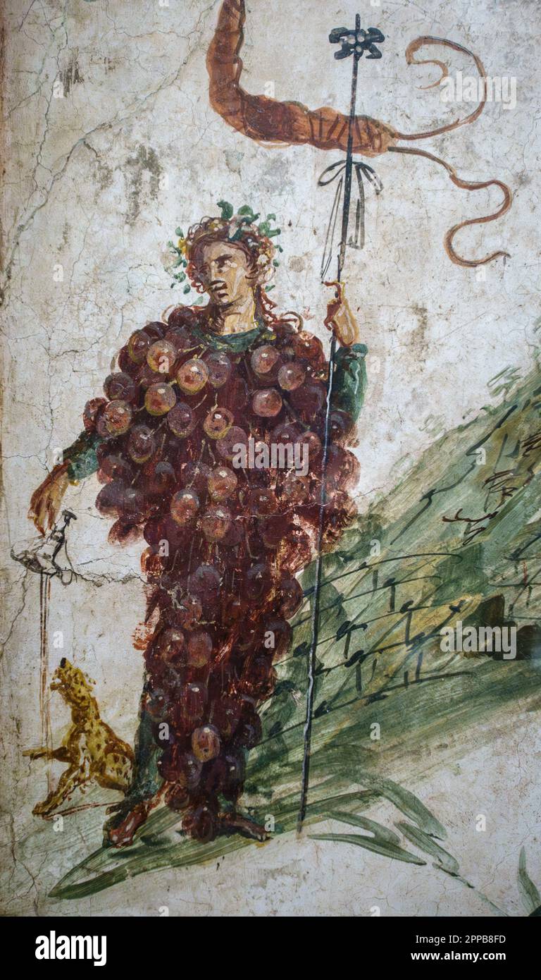 Détail d'une fresque romaine de Pompéi montrant Bacchus, dieu du vin et de la fertilité, drapé dans un bouquet de raisins et verser du vin pour sa panthère d'animal de compagnie Banque D'Images